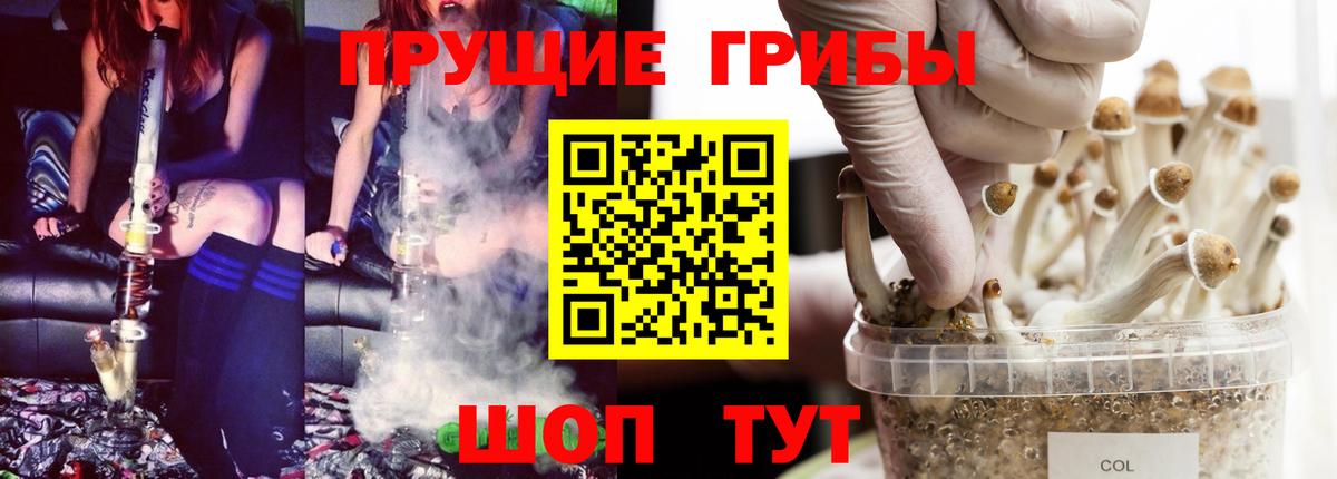 Галлюциногенные грибы GOLDEN TEACHER  Вход с VPN  Лесосибирск 